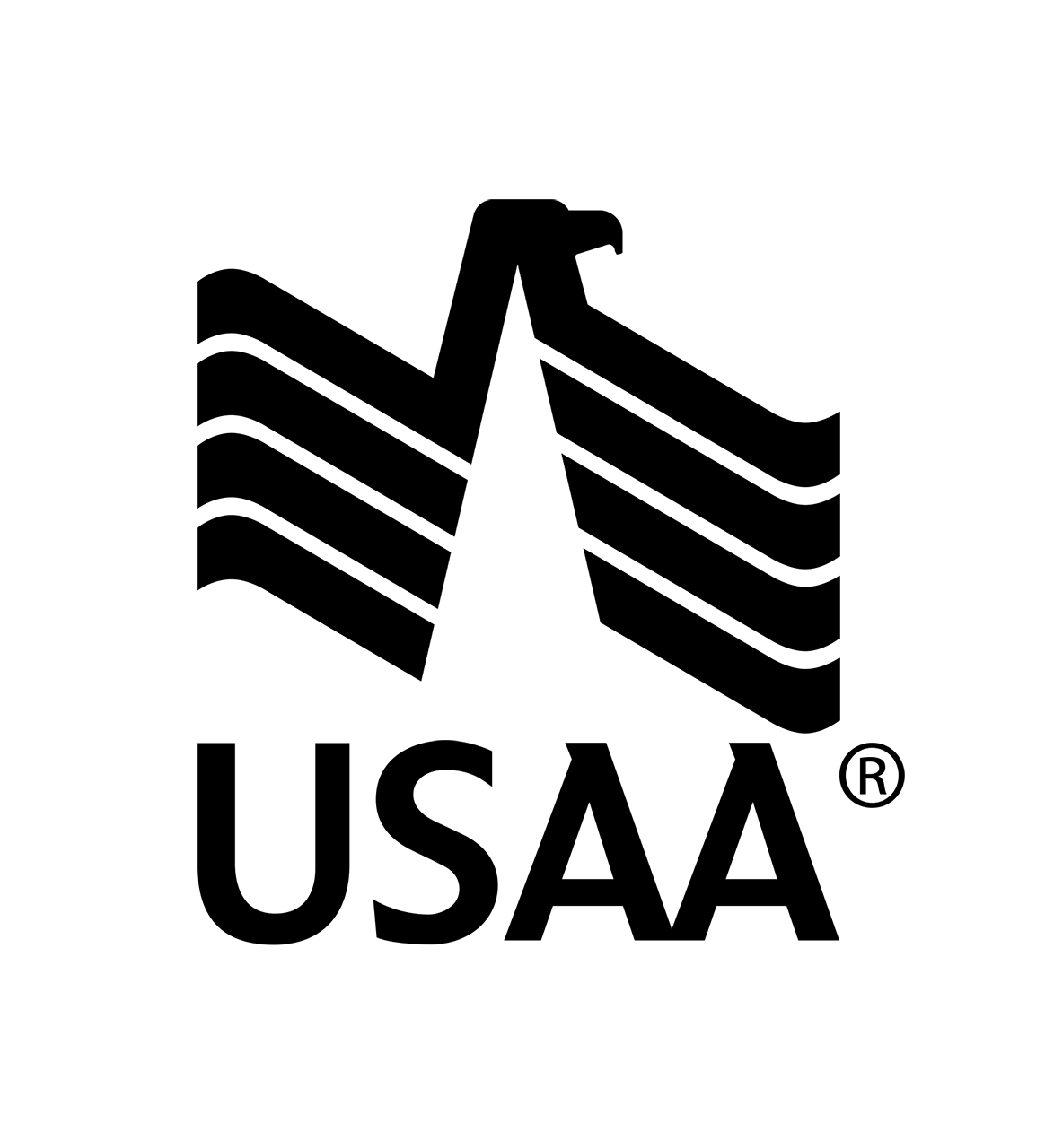 usaa_vrt_r_rgb_sld_blk.png
